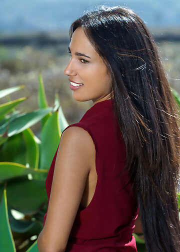 Long hair brunette posing naked