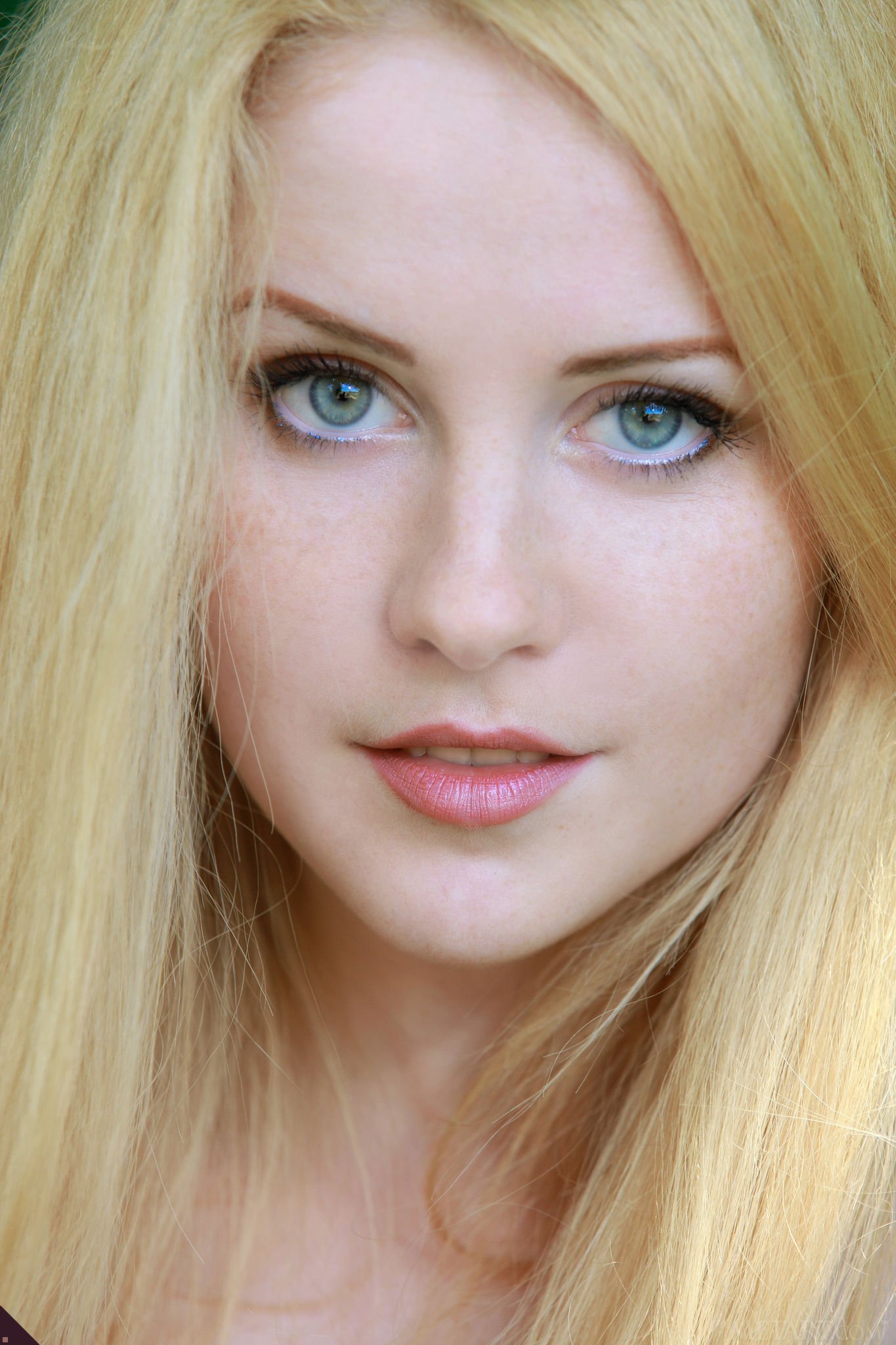 large photo